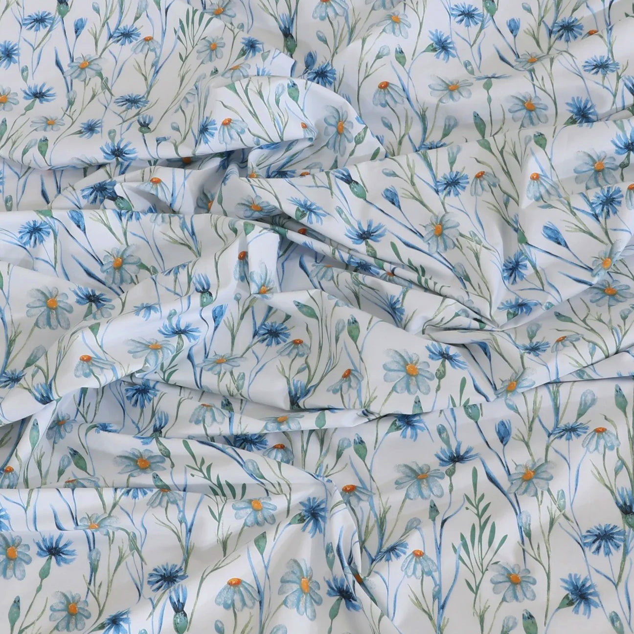 Wild Feathers Sheet Set